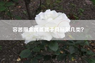 容器用金属盖属于商标第几类？