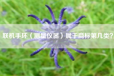 联机手环（测量仪器）属于商标第几类？