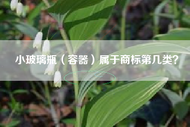 小玻璃瓶（容器）属于商标第几类？
