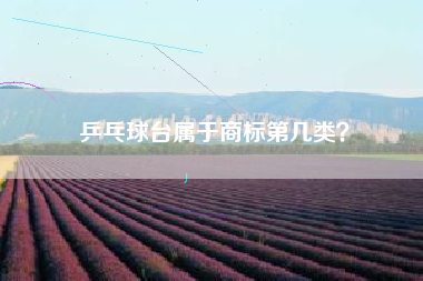 乒乓球台属于商标第几类？