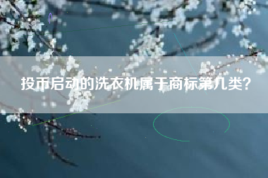 投币启动的洗衣机属于商标第几类？