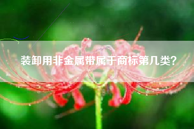 装卸用非金属带属于商标第几类？