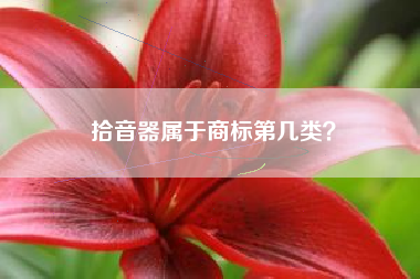拾音器属于商标第几类？