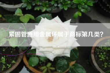 紧固管道用金属环属于商标第几类？