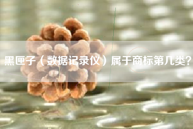 黑匣子（数据记录仪）属于商标第几类？