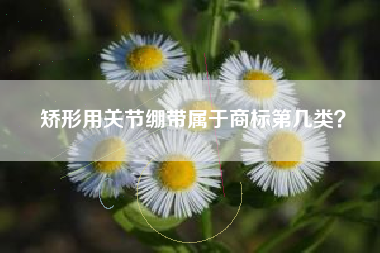 矫形用关节绷带属于商标第几类？