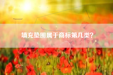 填充垫圈属于商标第几类？