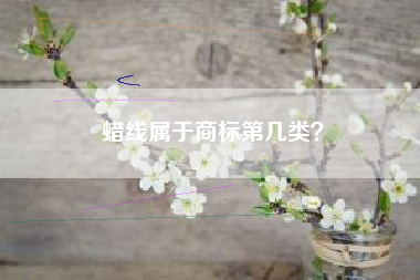 蜡线属于商标第几类？