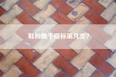 鞋粉属于商标第几类？