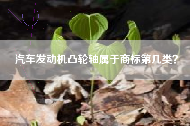 汽车发动机凸轮轴属于商标第几类？