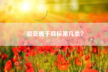 喷壶属于商标第几类？