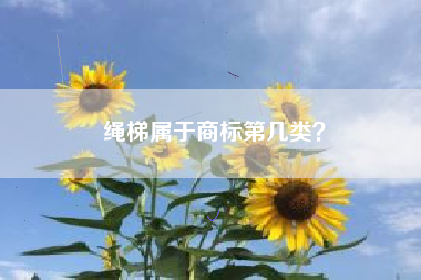 绳梯属于商标第几类？