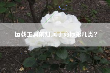 运载工具前灯属于商标第几类？