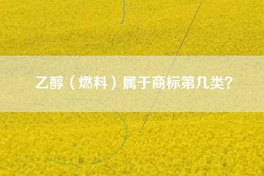 乙醇（燃料）属于商标第几类？