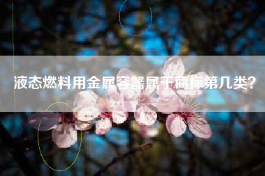 液态燃料用金属容器属于商标第几类？
