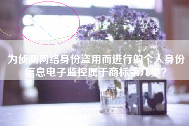 为侦测网络身份盗用而进行的个人身份信息电子监控属于商标第几类？