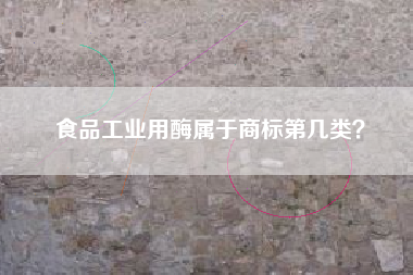 食品工业用酶属于商标第几类？