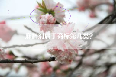 麻醉剂属于商标第几类？
