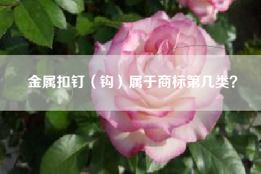 金属扣钉（钩）属于商标第几类？