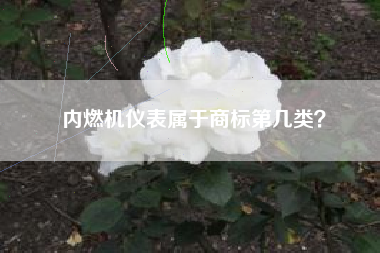 内燃机仪表属于商标第几类？