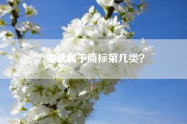 雷管属于商标第几类？