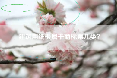 建筑用纸板属于商标第几类？