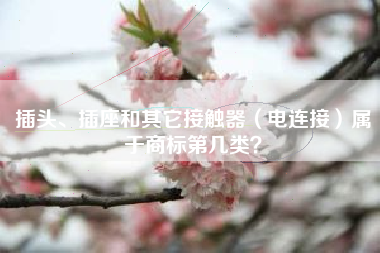插头、插座和其它接触器（电连接）属于商标第几类？