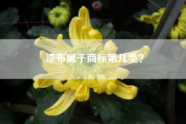 漆布属于商标第几类？