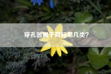 穿孔器属于商标第几类？