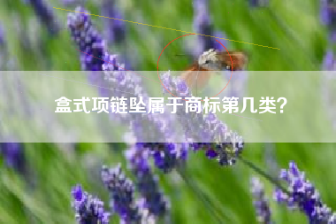 盒式项链坠属于商标第几类？