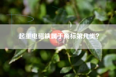 起重电磁铁属于商标第几类？