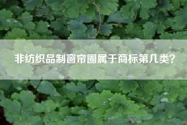 非纺织品制窗帘圈属于商标第几类？