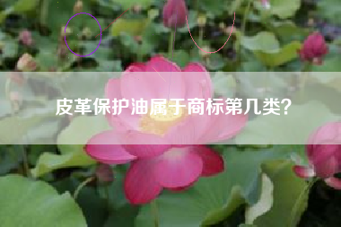 皮革保护油属于商标第几类？