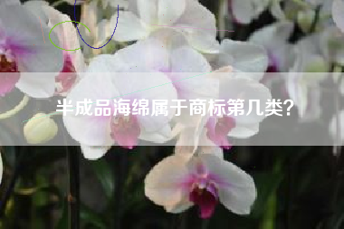 半成品海绵属于商标第几类？