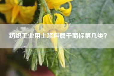 纺织工业用上浆料属于商标第几类？