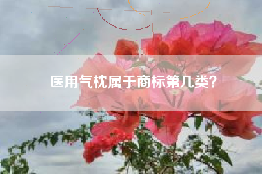 医用气枕属于商标第几类？