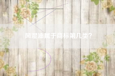 风湿油属于商标第几类？