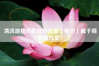 清洗地毯的机器和装置（电动）属于商标第几类？