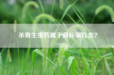杀寄生虫药属于商标第几类？