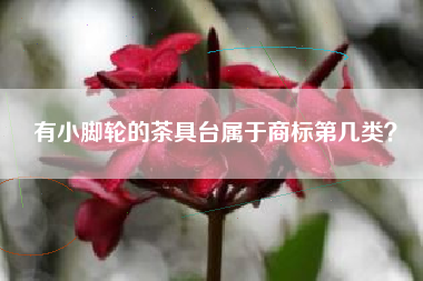 有小脚轮的茶具台属于商标第几类？