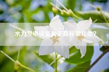 水力发电设备属于商标第几类？