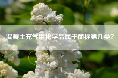 混凝土充气用化学品属于商标第几类？