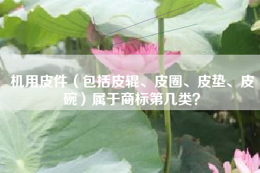 机用皮件（包括皮辊、皮圈、皮垫、皮碗）属于商标第几类？
