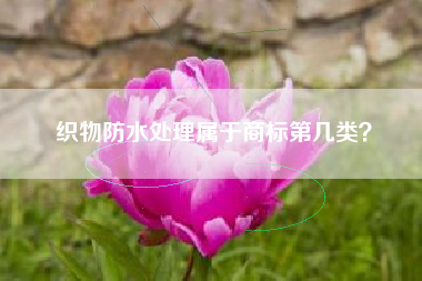 织物防水处理属于商标第几类？