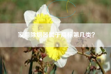 家用除烟器属于商标第几类？