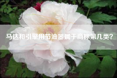 马达和引擎用节油器属于商标第几类？