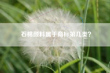 石棉颜料属于商标第几类？
